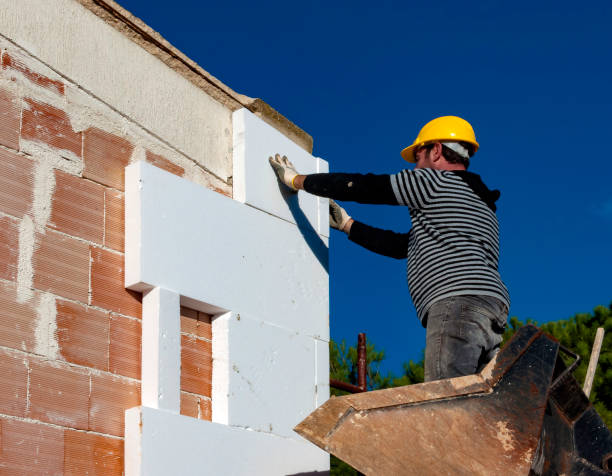 Best Types of Insulation in Acres Green, CO